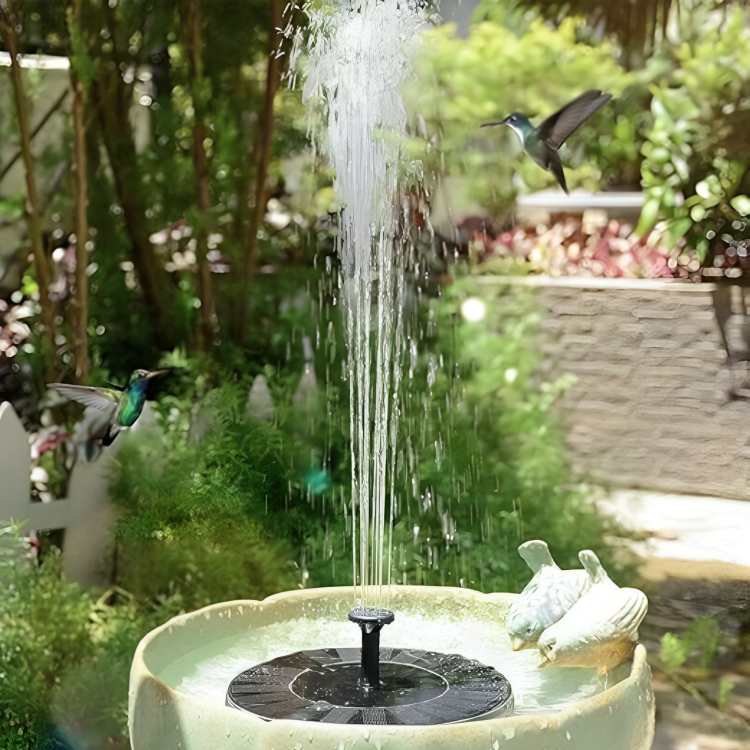 Solar Pond Fountain