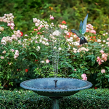 Solar Pond Fountain